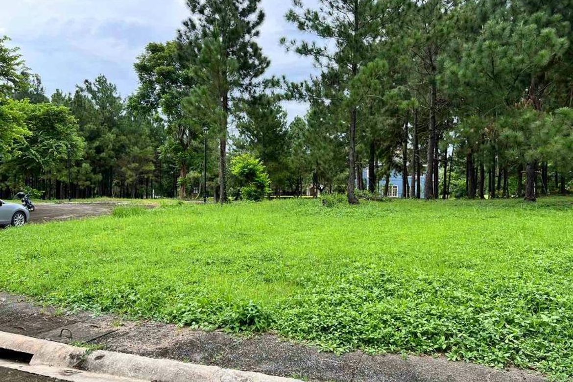 Land for Sale in Promenade, Santo Domingo, Santa Rosa, Laguna – photo 5