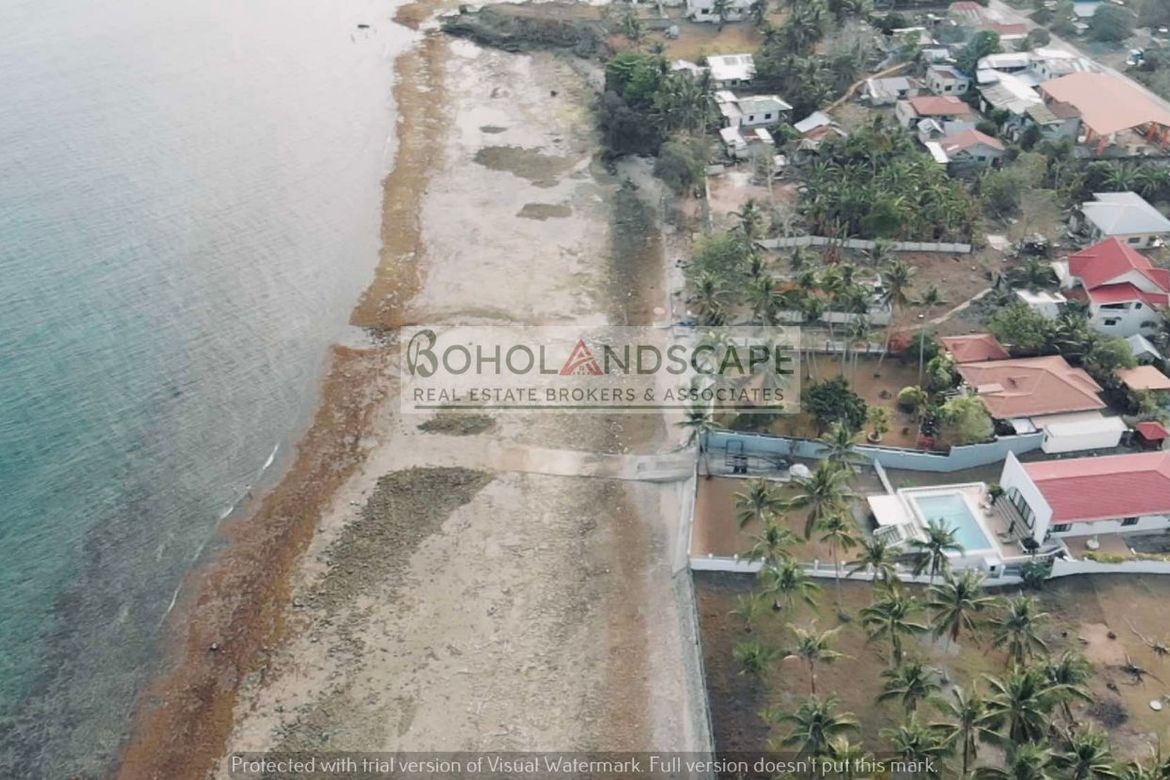 Land for Sale in Puangyuta, Dimiao, Bohol – photo 2