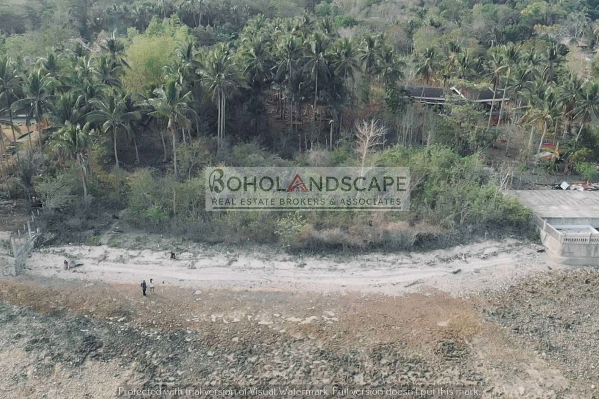 Land for Sale in Puangyuta, Dimiao, Bohol – photo 6