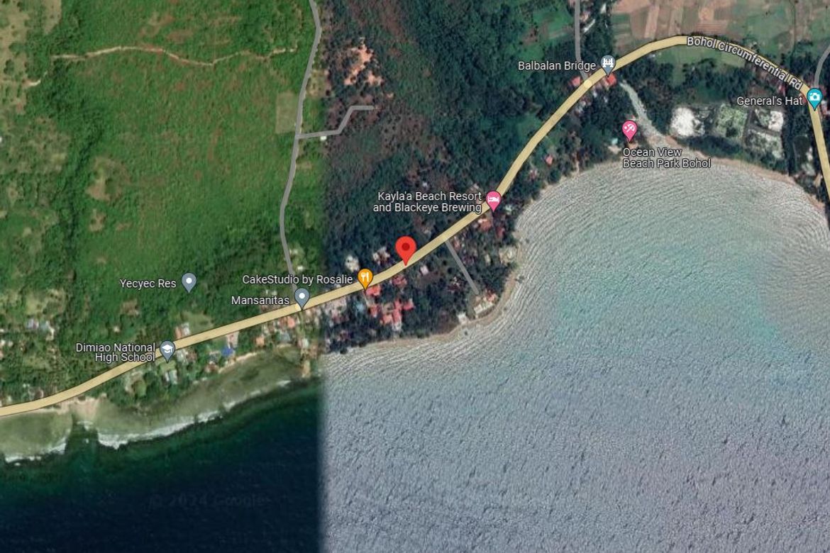 Land for Sale in Puangyuta, Dimiao, Bohol – photo 8