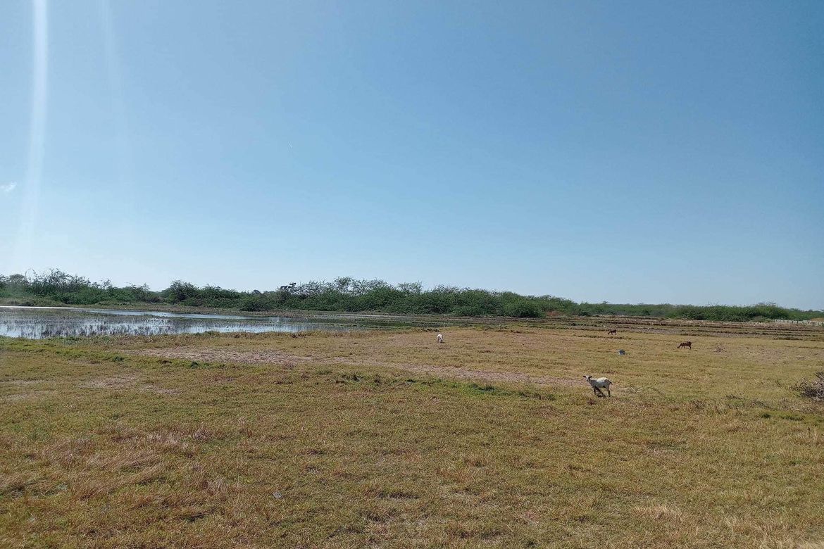 Land for Sale in Pudoc, San Vicente, Ilocos Sur