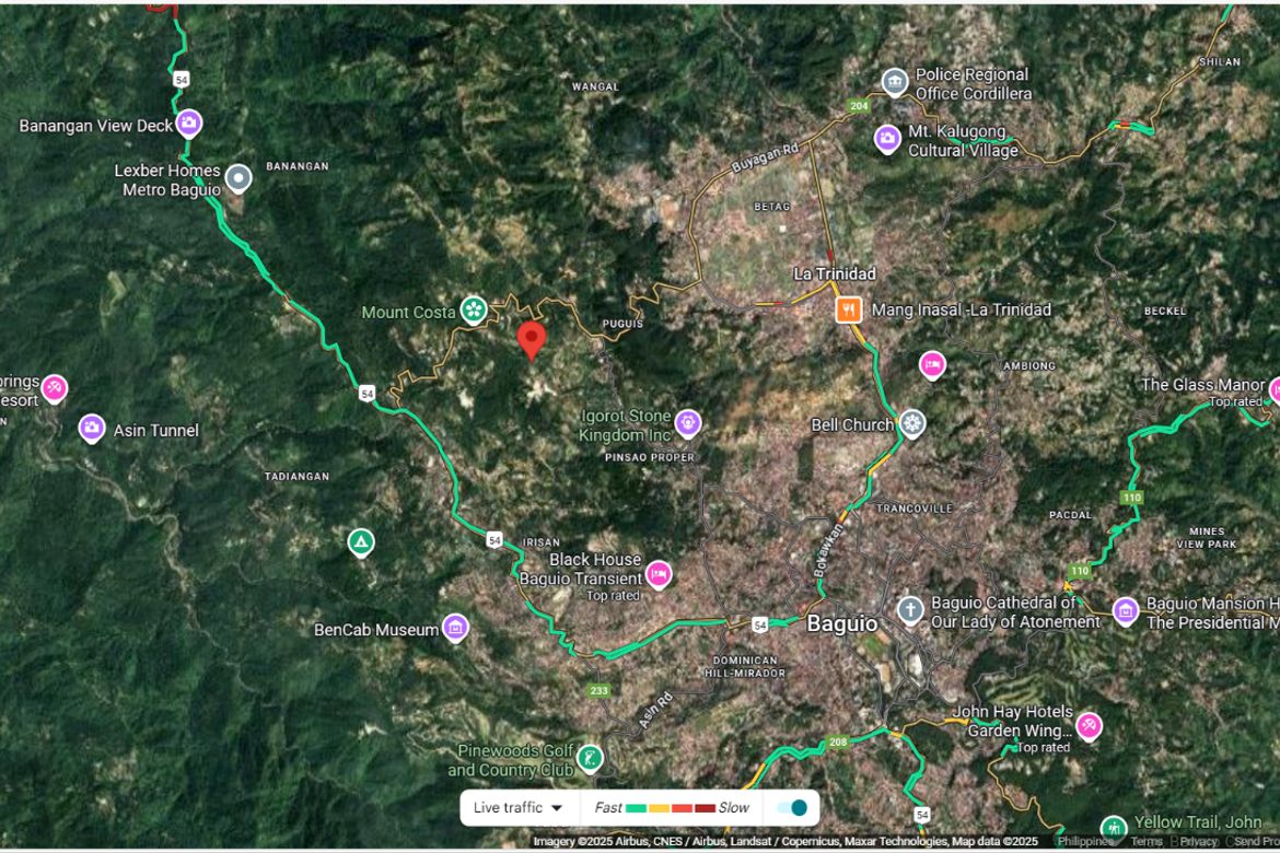 Land for Sale in Puguis, La trinidad, Benguet