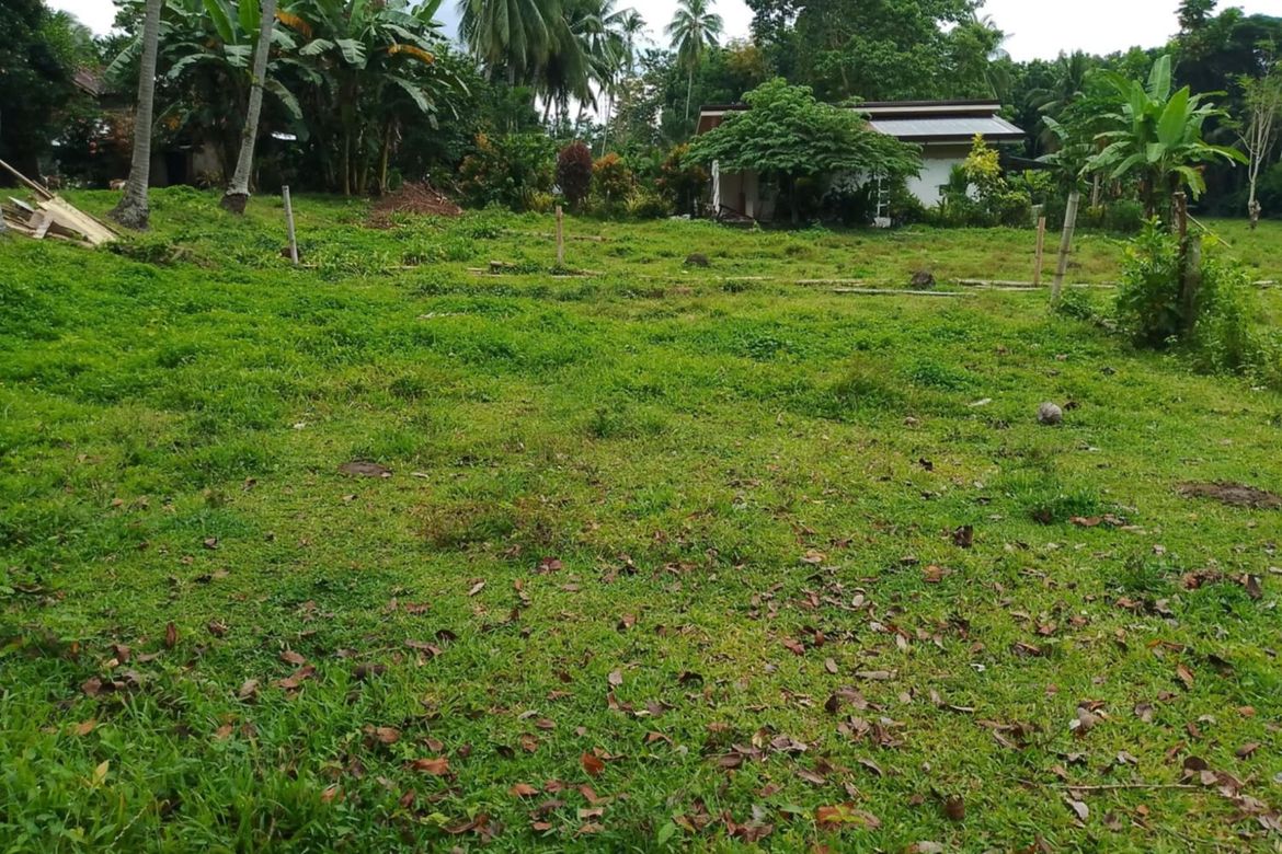 Land for Sale in Puhagan, Valencia, Negros Oriental – photo 2