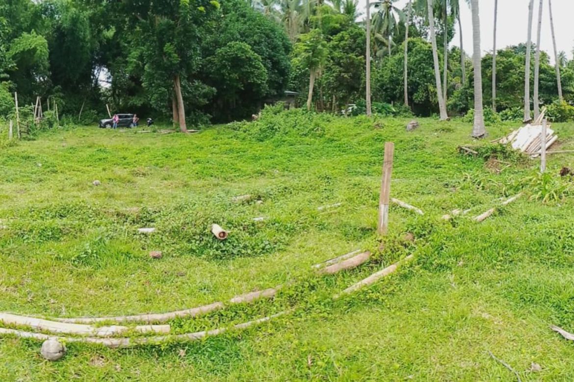 Land for Sale in Puhagan, Valencia, Negros Oriental – photo 3