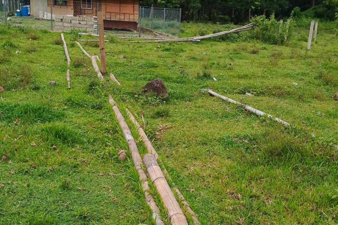 Land for Sale in Puhagan, Valencia, Negros Oriental – photo 7