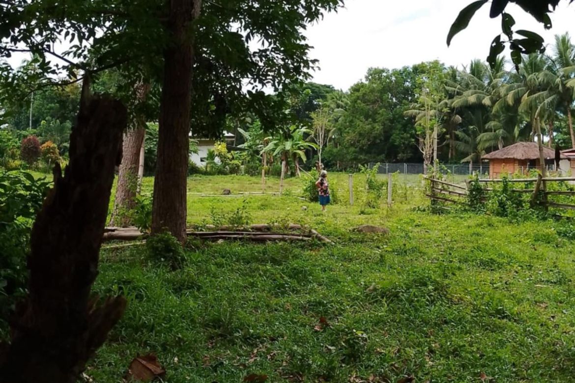 Land for Sale in Puhagan, Valencia, Negros Oriental – photo 8
