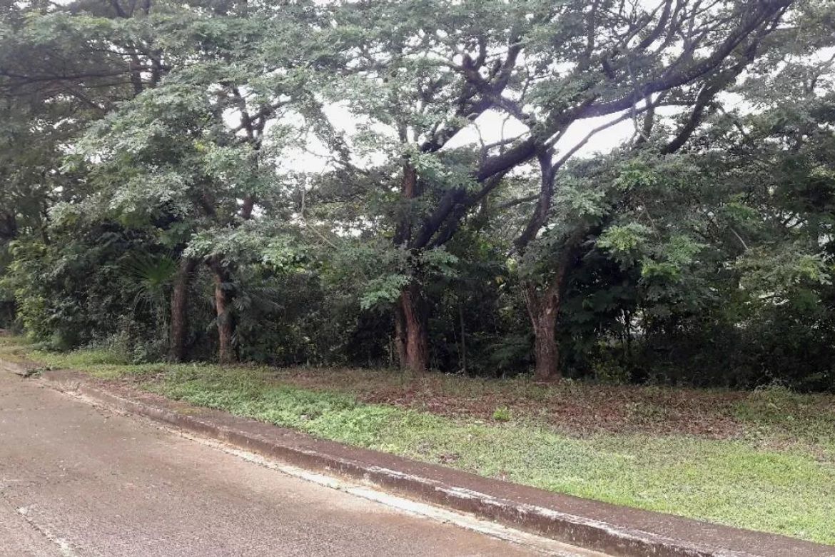 Land for Sale in Pulangbato, Cebu City, Cebu – photo 5