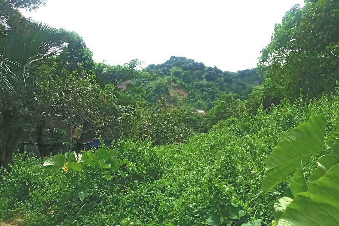 Land for Sale in Pulangbato, Cebu City, Cebu