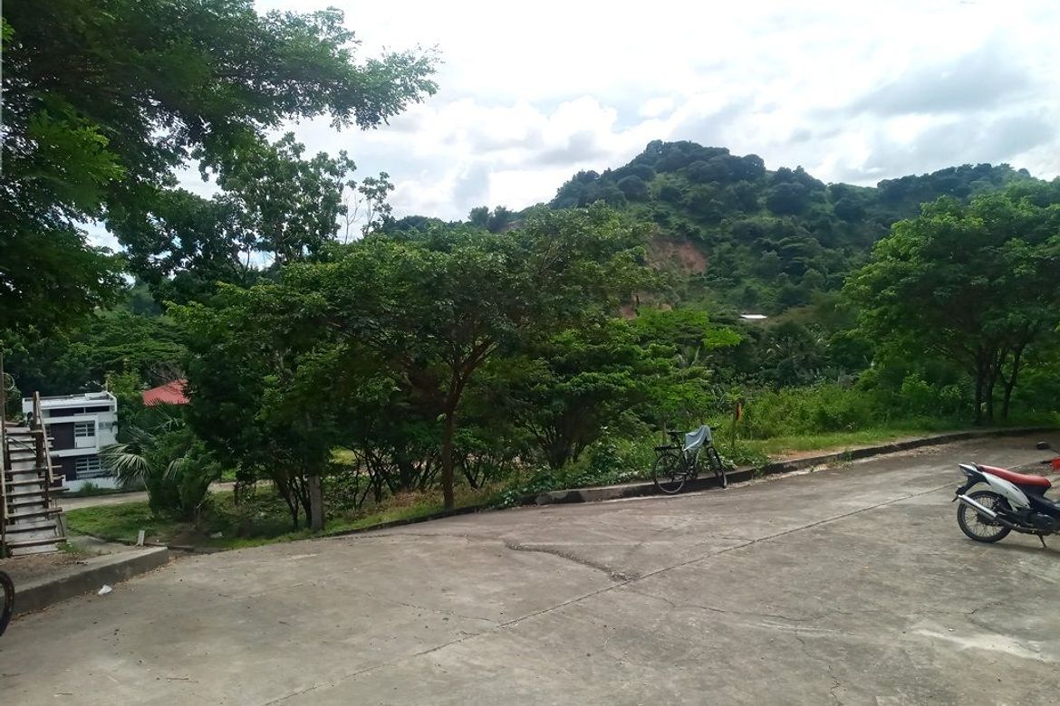 Land for Sale in Pulangbato, Cebu City, Cebu – photo 2