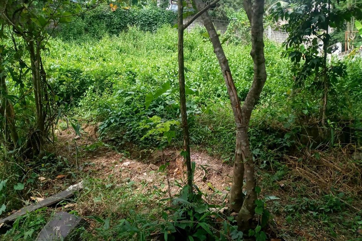 Land for Sale in Pulangbato, Cebu City, Cebu – photo 3