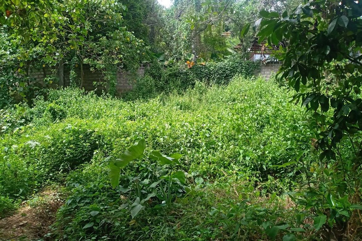 Land for Sale in Pulangbato, Cebu City, Cebu – photo 6