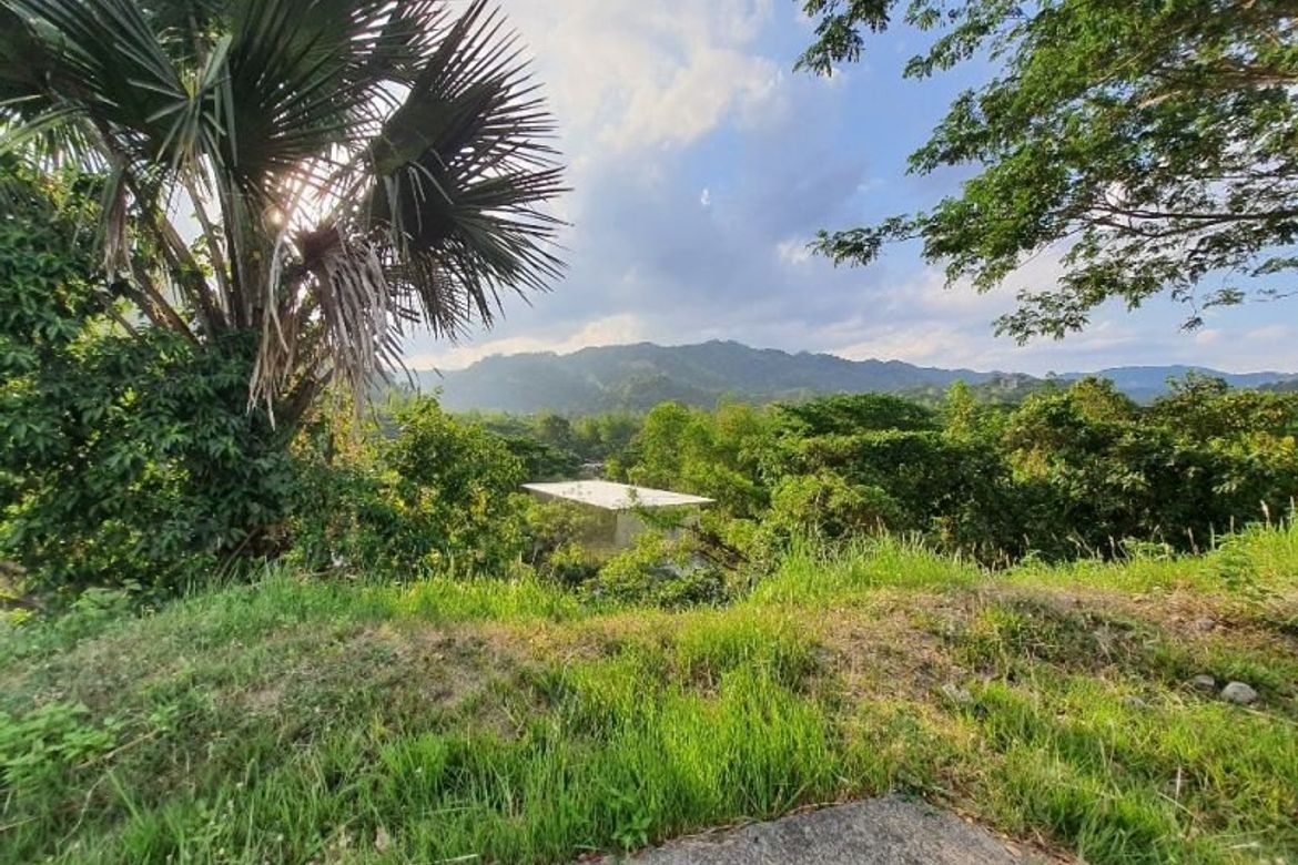 Land for Sale in Pulangbato, Cebu City, Cebu – photo 8