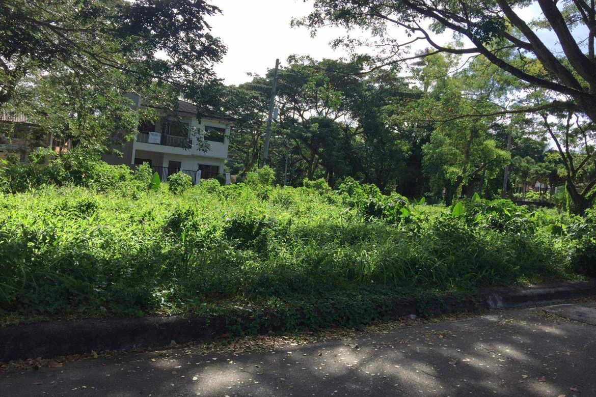 Land for Sale in Pulangbato, Cebu City, Cebu