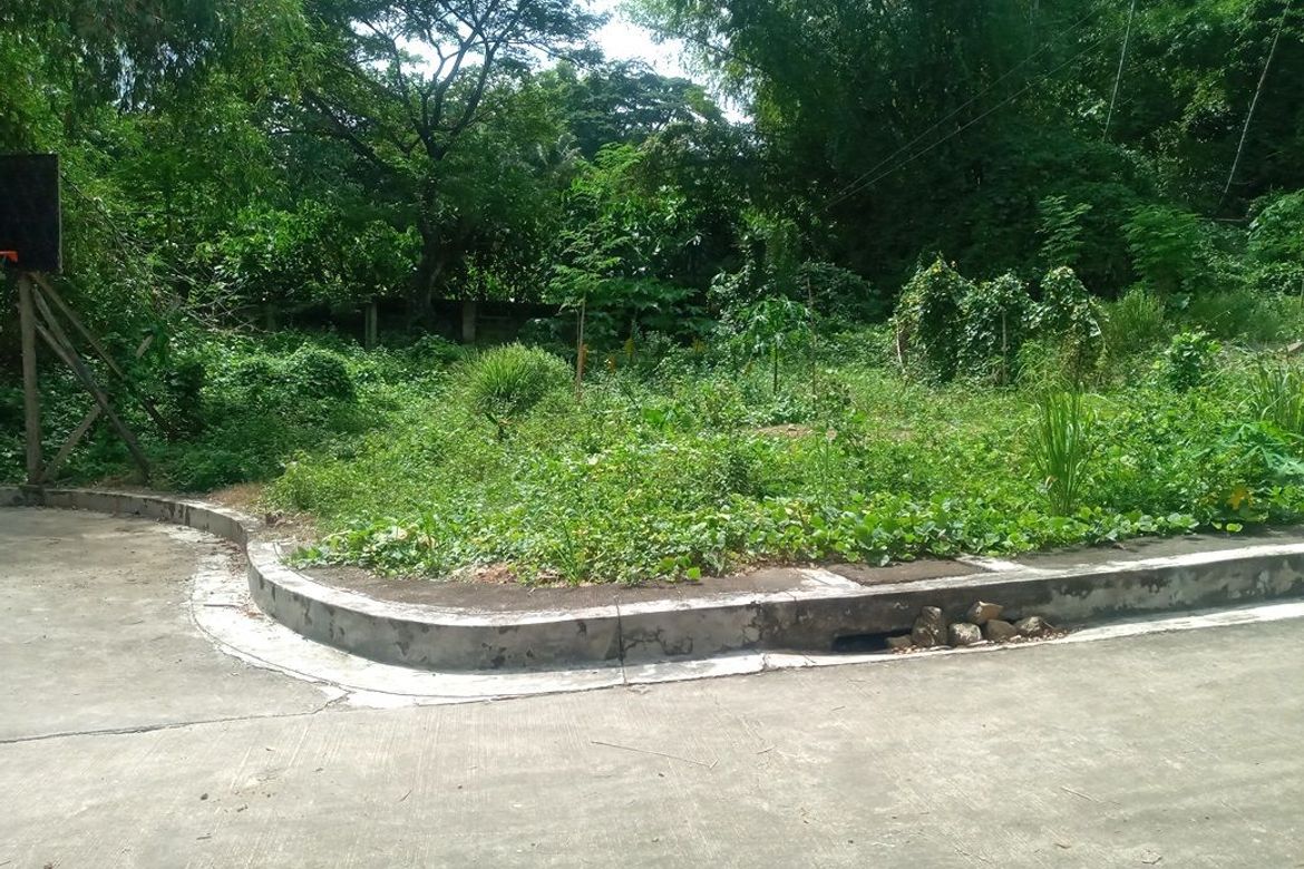 Land for Sale in Pulangbato, Cebu City, Cebu