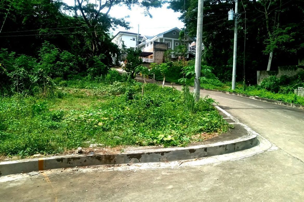 Land for Sale in Pulangbato, Cebu City, Cebu – photo 2