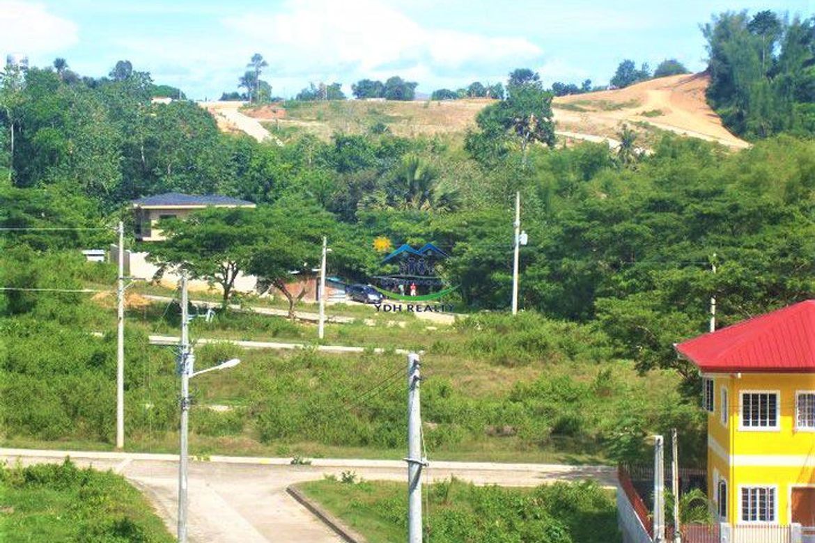 Land for Sale in Pulangbato, Cebu City, Cebu – photo 4