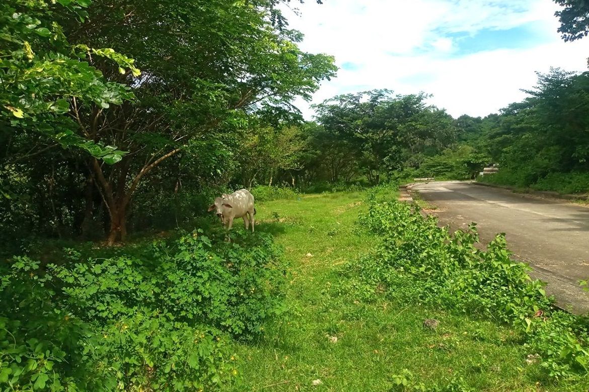 Land for Sale in Pulangbato, Cebu City, Cebu