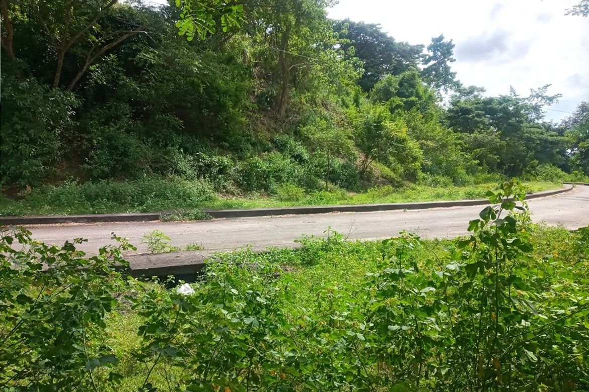 Land for Sale in Pulangbato, Cebu City, Cebu – photo 2