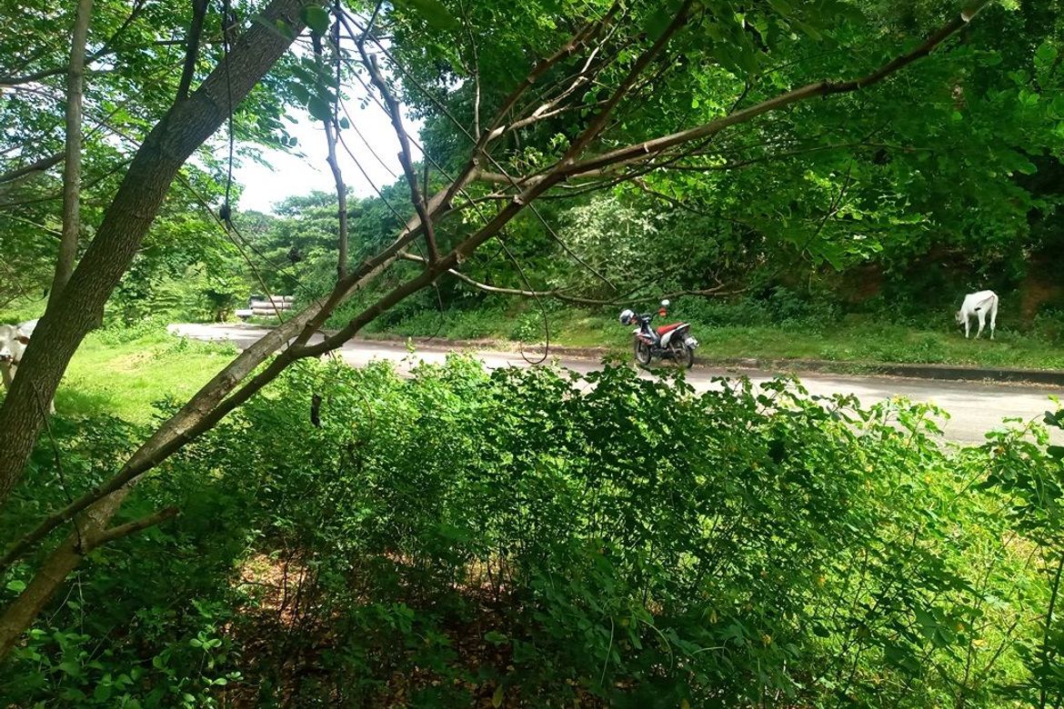 Land for Sale in Pulangbato, Cebu City, Cebu – photo 3