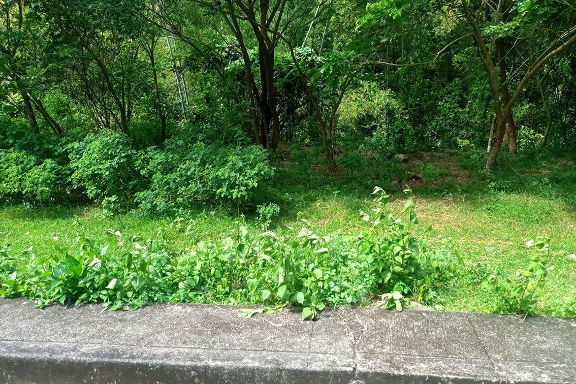 Land for Sale in Pulangbato, Cebu City, Cebu – photo 4