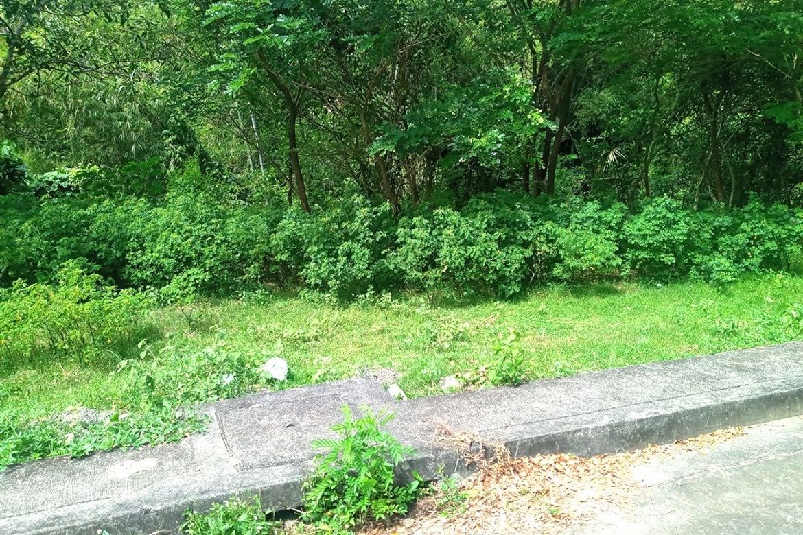 Land for Sale in Pulangbato, Cebu City, Cebu – photo 5