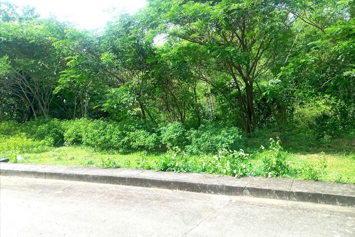 Land for Sale in Pulangbato, Cebu City, Cebu – photo 6