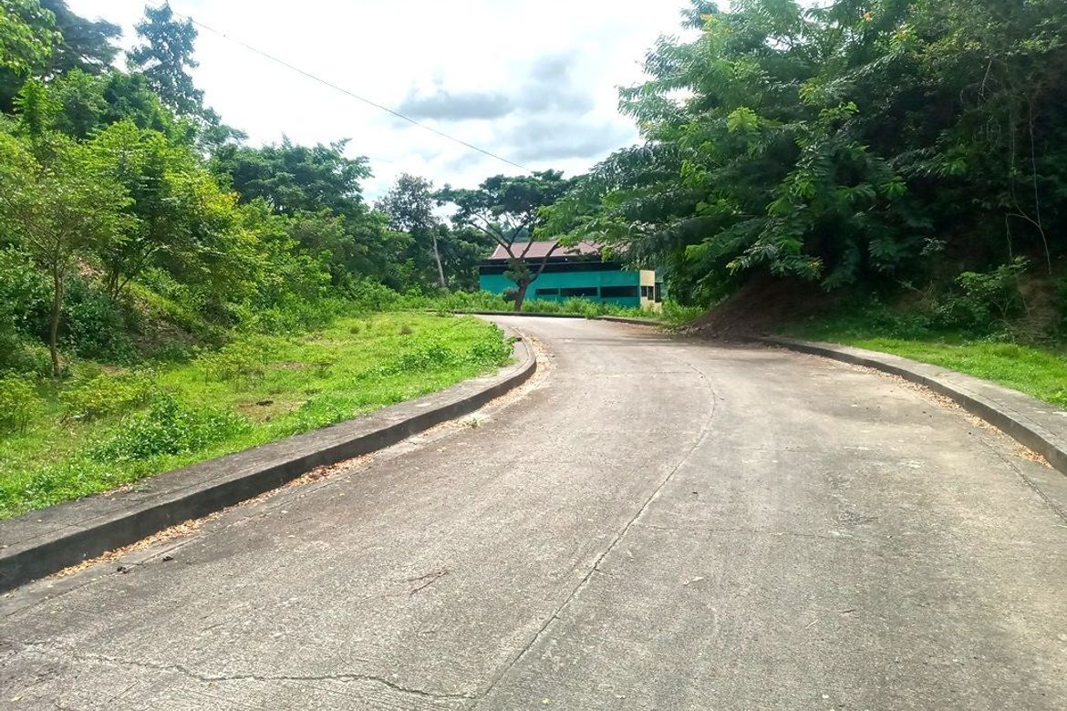 Land for Sale in Pulangbato, Cebu City, Cebu – photo 8