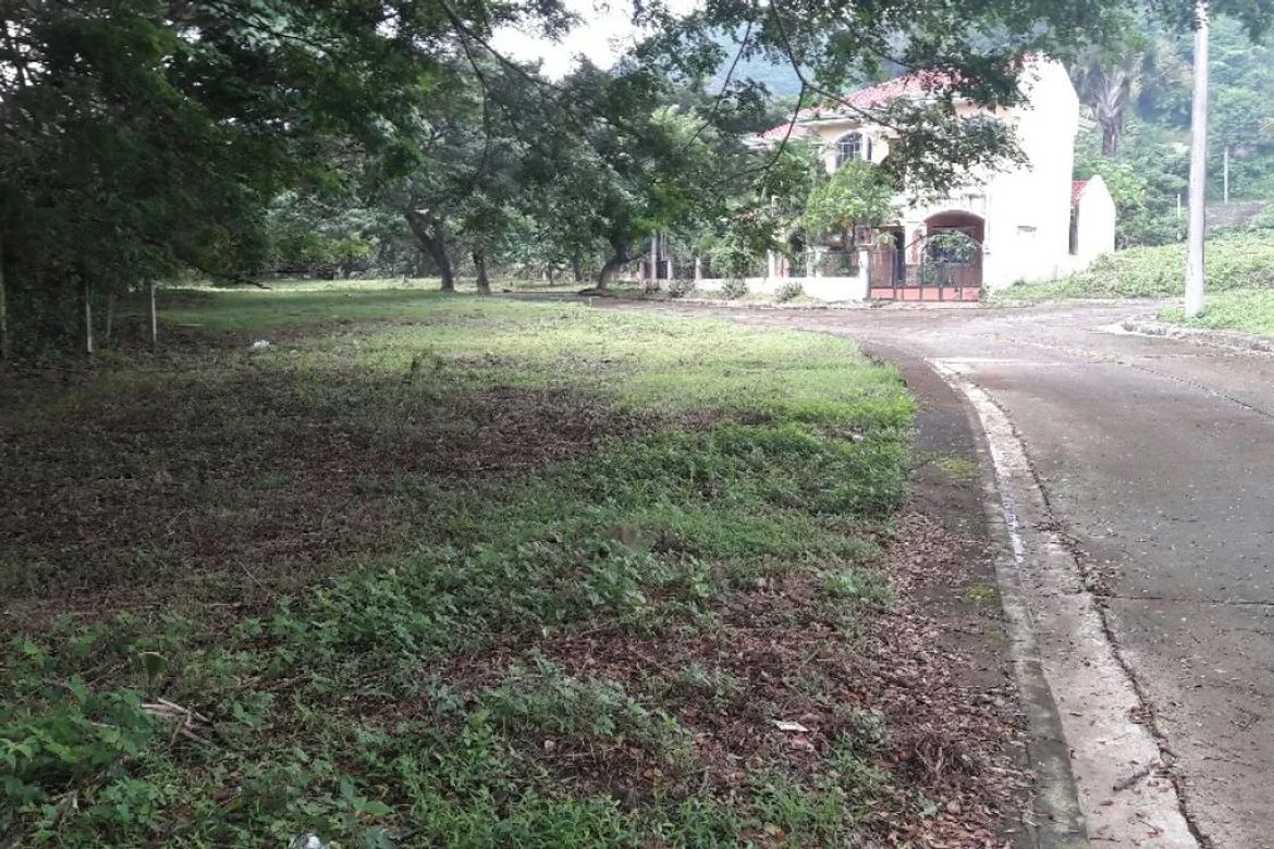 Land for Sale in Pulangbato, Cebu City, Cebu – photo 2