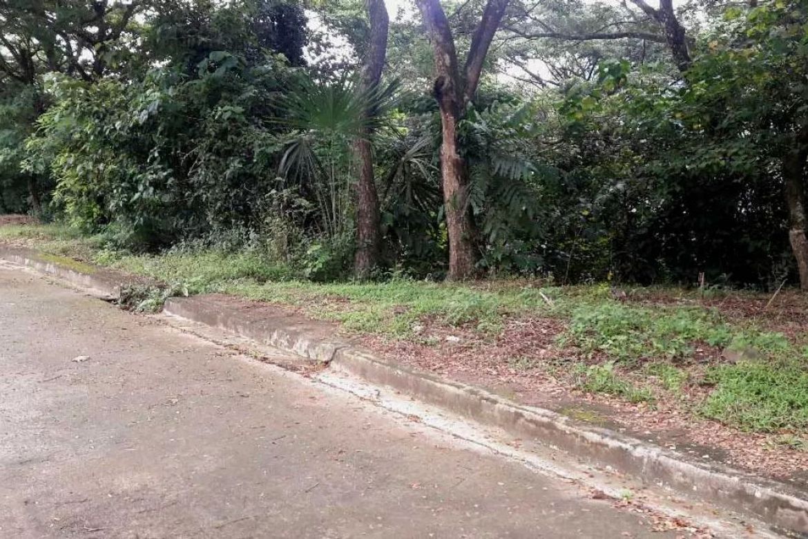 Land for Sale in Pulangbato, Cebu City, Cebu – photo 5