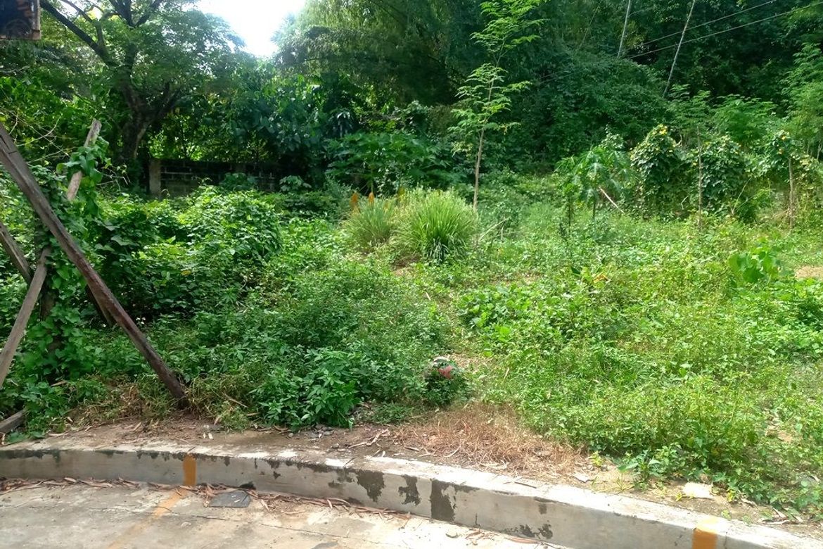 Land for Sale in Pulangbato, Cebu City, Cebu – photo 4