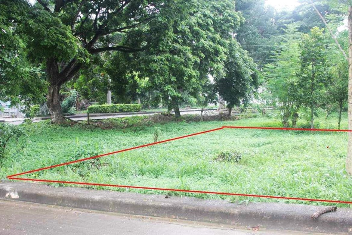Land for Sale in Pulangbato, Cebu City, Cebu – photo 3
