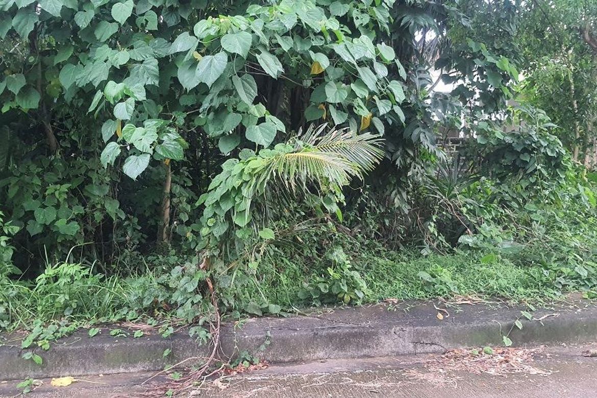 Land for Sale in Pulangbato, Cebu City, Cebu