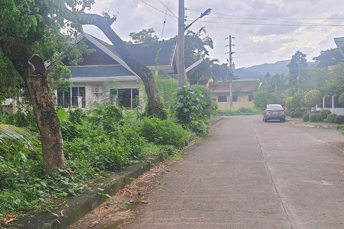 Land for Sale in Pulangbato, Cebu City, Cebu – photo 2