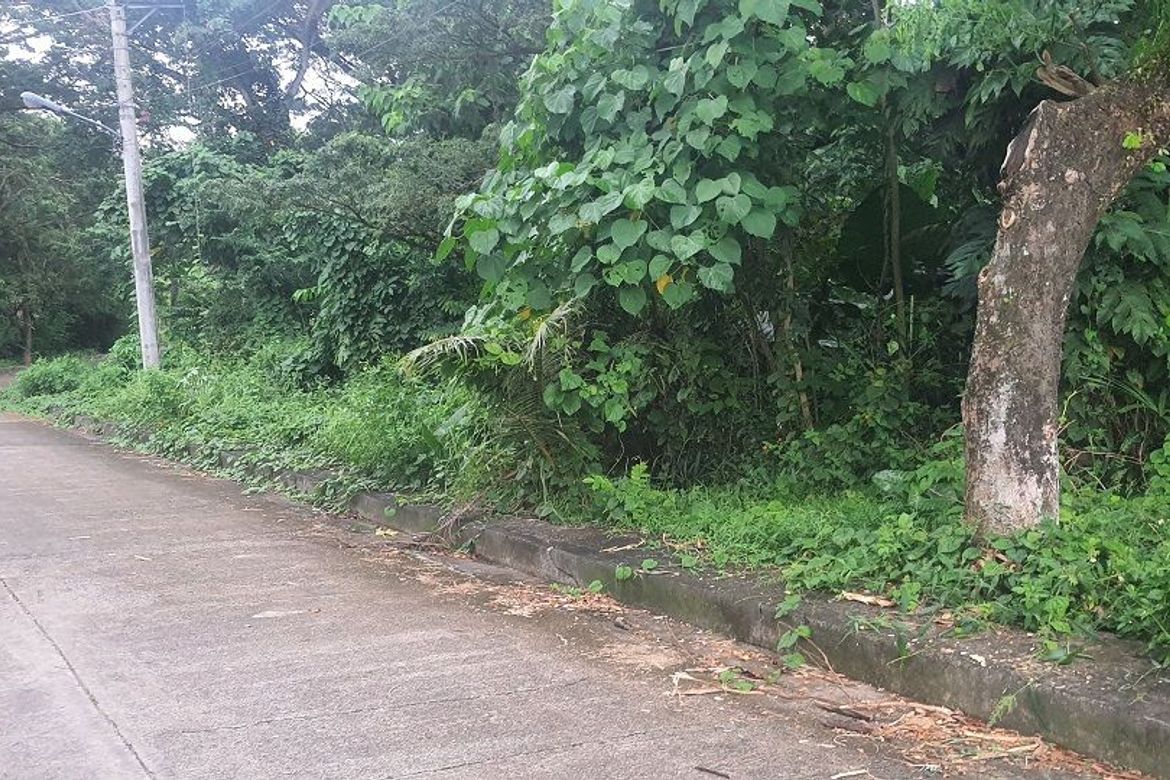 Land for Sale in Pulangbato, Cebu City, Cebu – photo 3