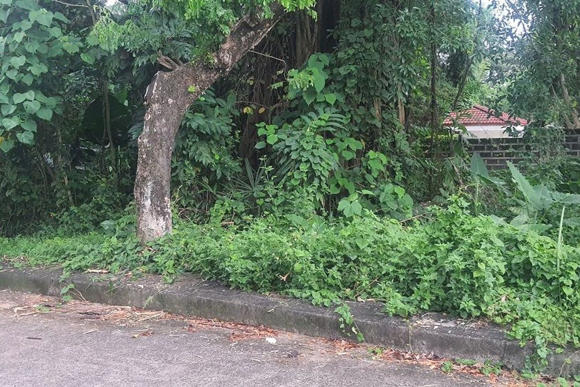 Land for Sale in Pulangbato, Cebu City, Cebu – photo 4