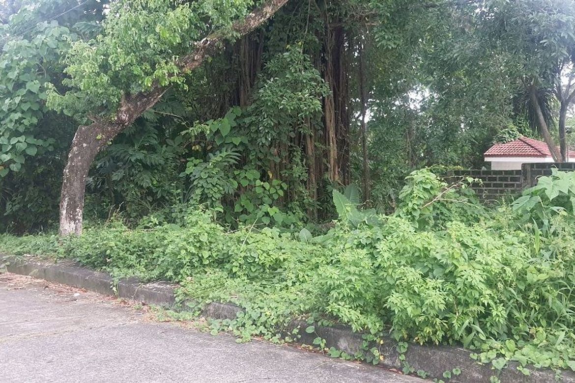 Land for Sale in Pulangbato, Cebu City, Cebu – photo 5