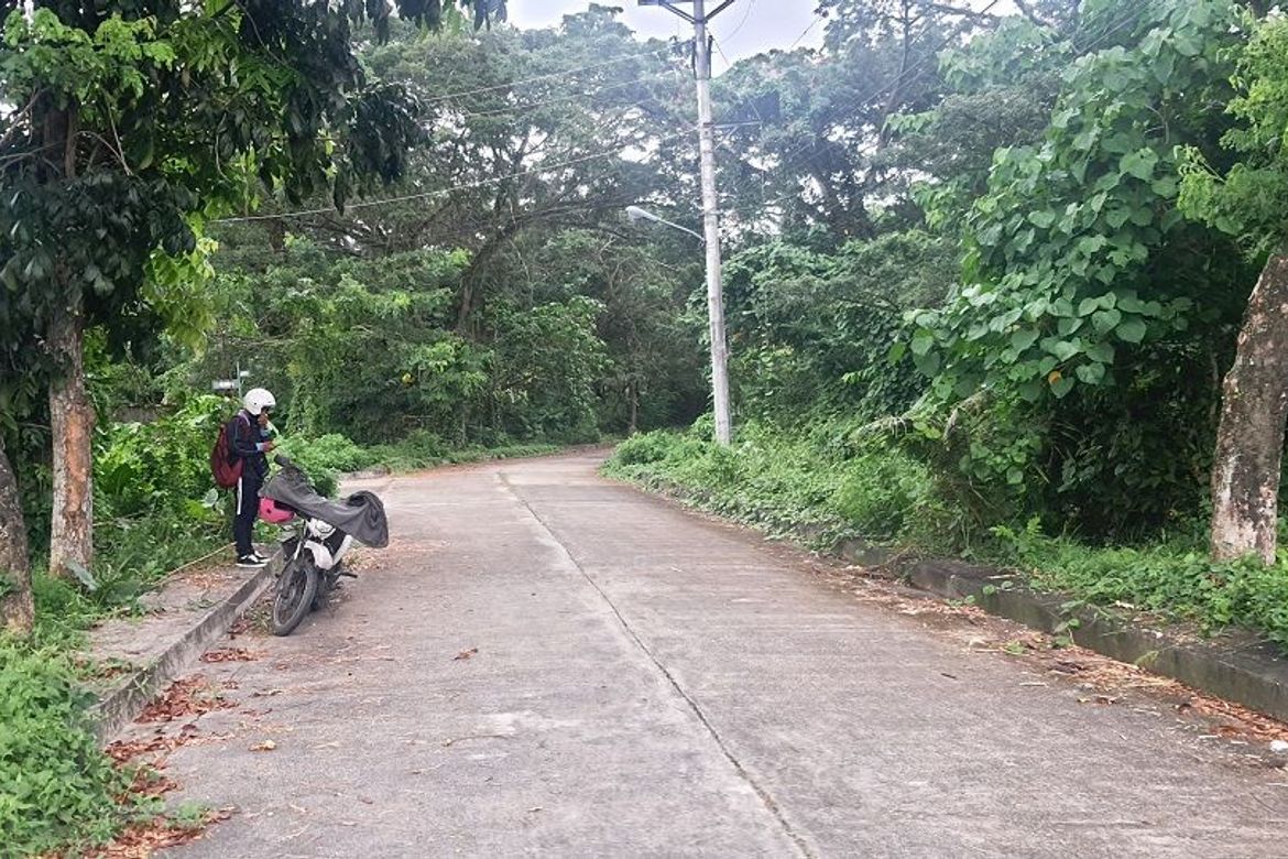 Land for Sale in Pulangbato, Cebu City, Cebu – photo 6