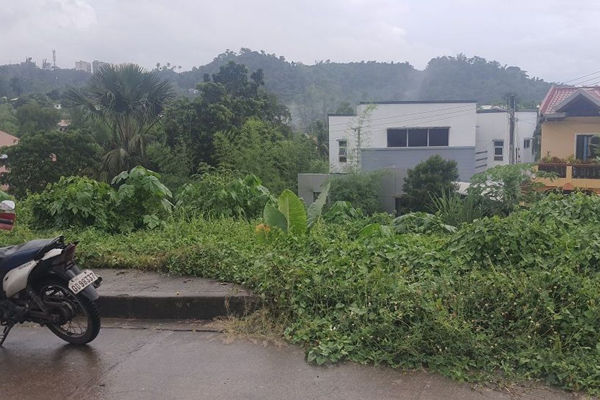 Land for Sale in Pulangbato, Cebu City, Cebu