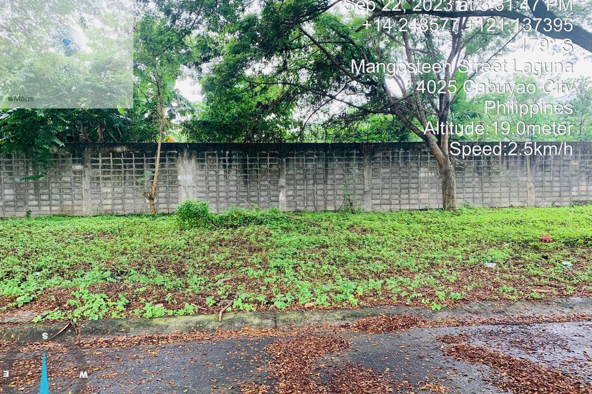 Land for Sale in Pulo, Cabuyao, Laguna