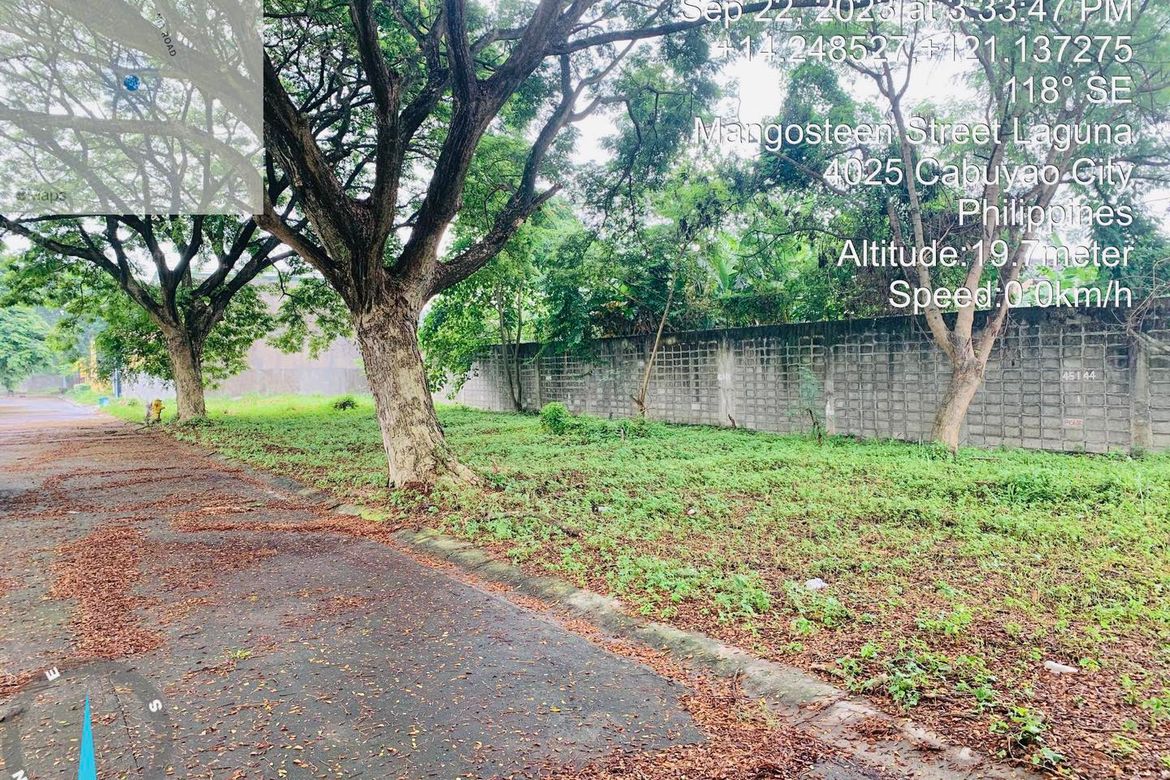 Land for Sale in Pulo, Cabuyao, Laguna – photo 2
