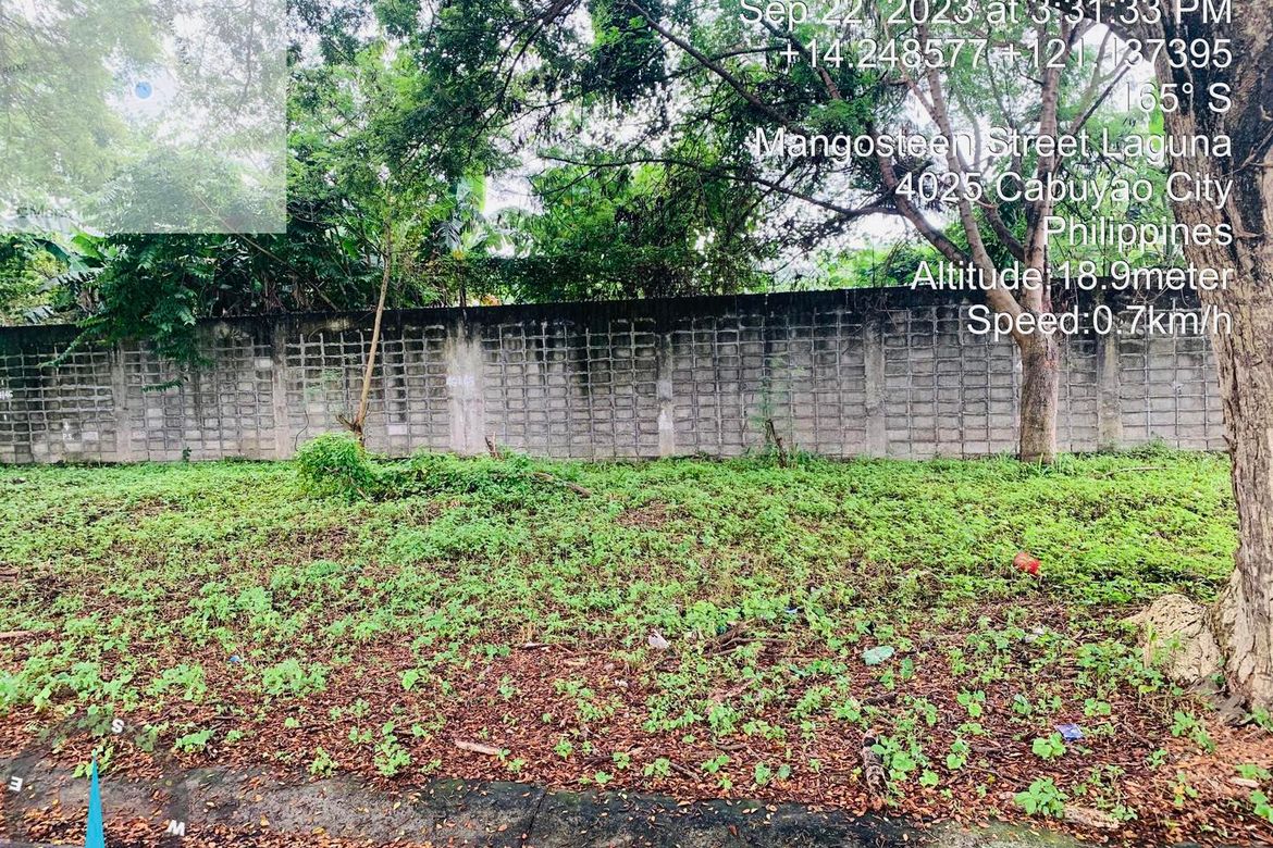 Land for Sale in Pulo, Cabuyao, Laguna – photo 5