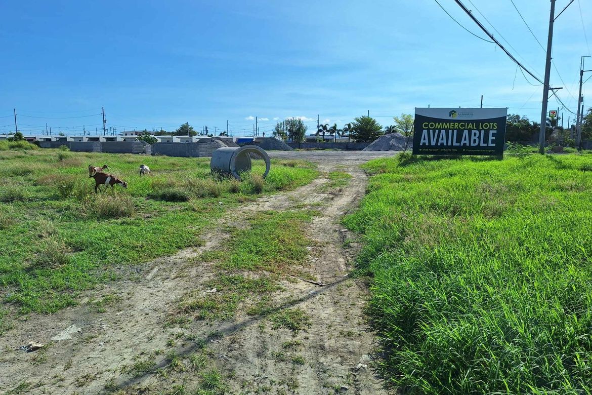 Land for Sale in Pulo, Cabuyao, Laguna – photo 2