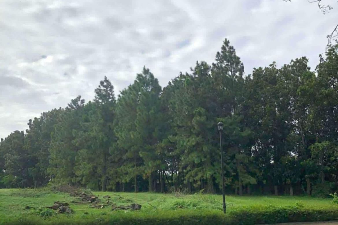 Land for Sale in Pulo, Cabuyao, Laguna – photo 4