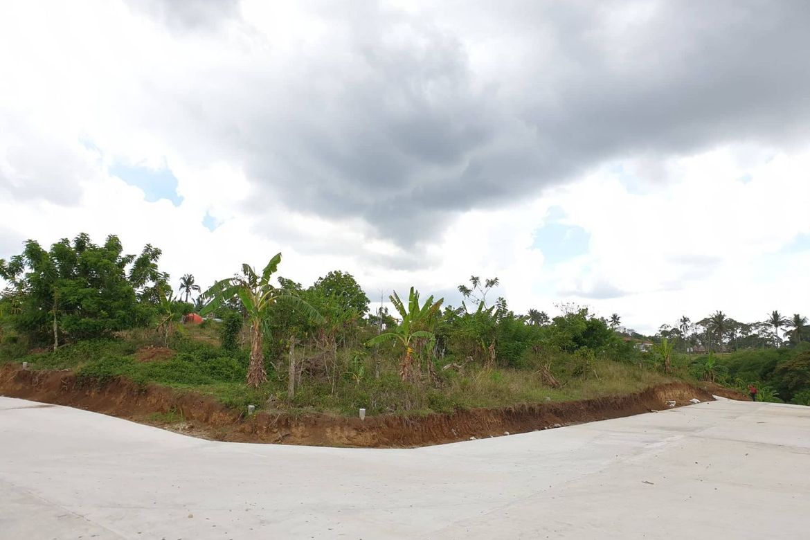 Land for Sale in Pulong Bunga, Silang, Cavite – photo 2