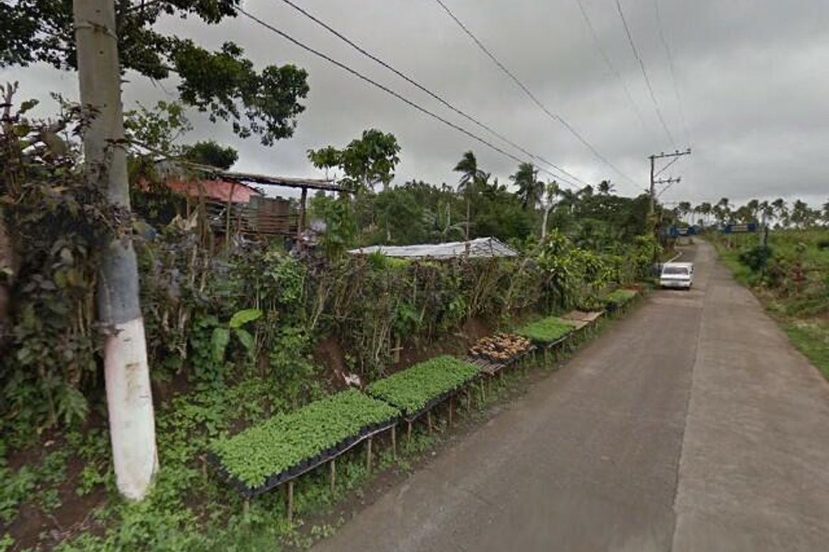 Land for Sale in Pulong Bunga, Silang, Cavite – photo 4