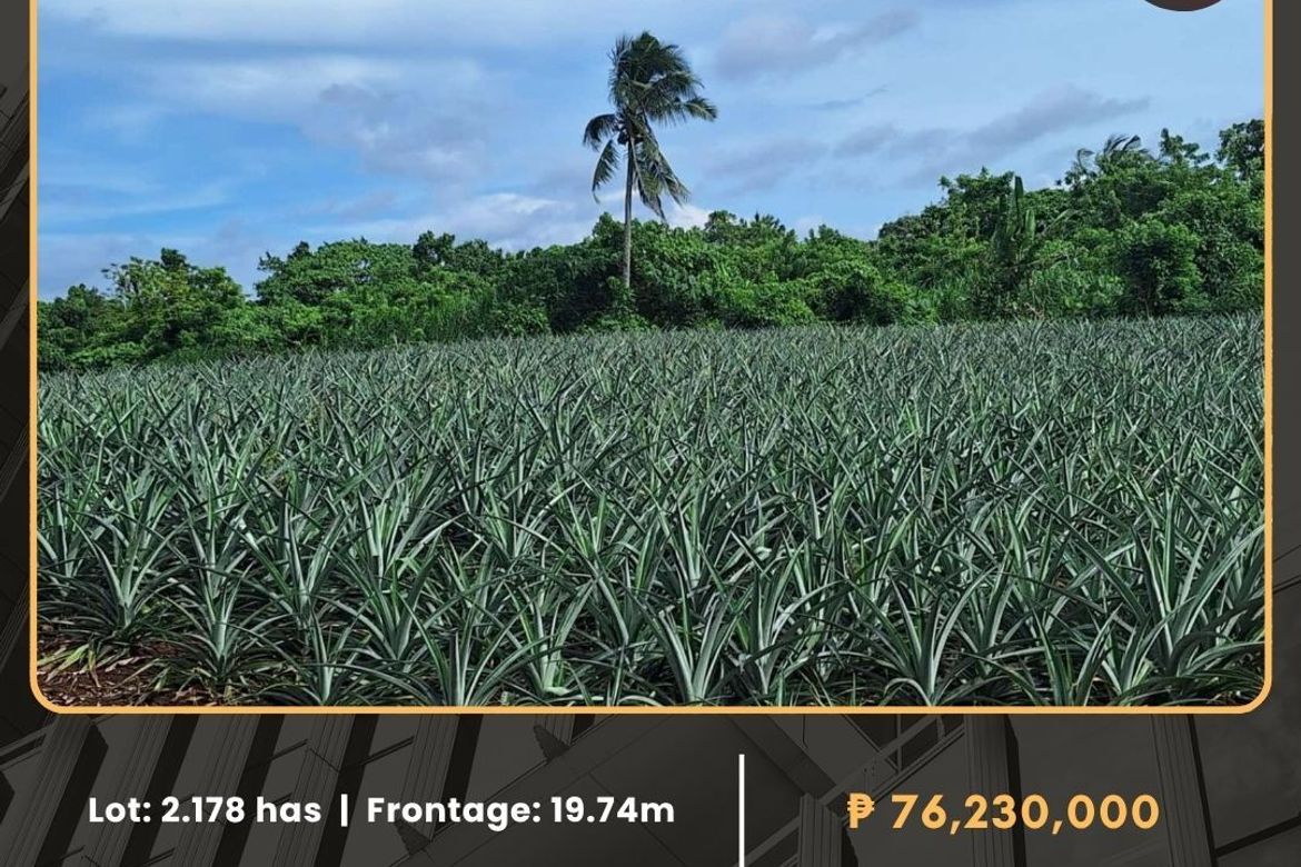 Land for Sale in Pulong Bunga, Silang, Cavite