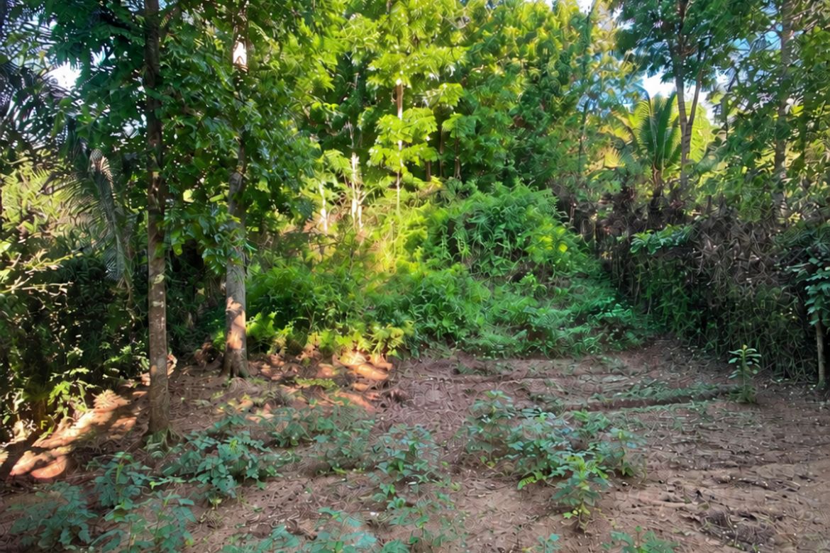 Land for Sale in Pulong Bunga, Silang, Cavite