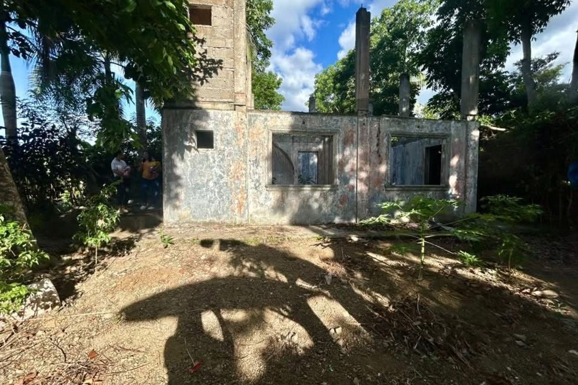 Land for Sale in Pulong Bunga, Silang, Cavite – photo 2