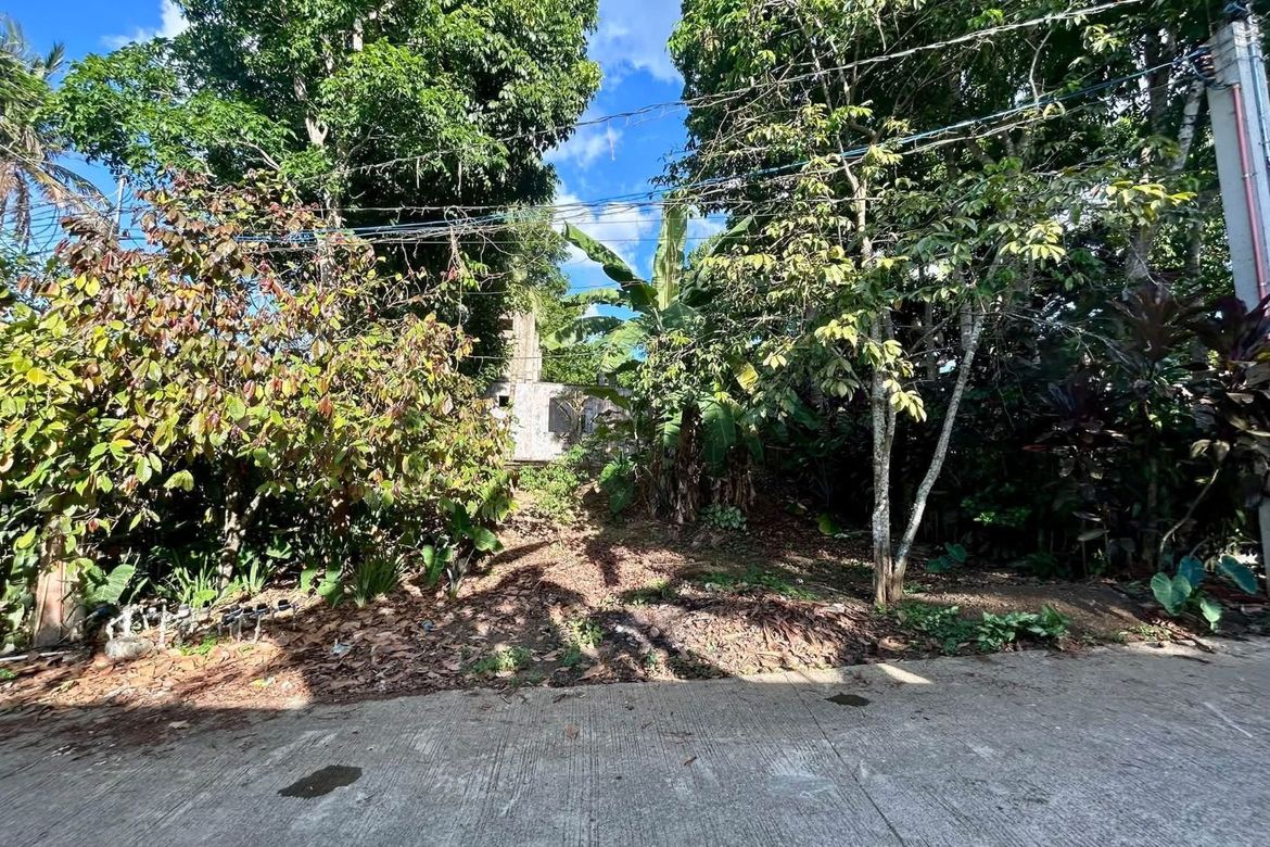Land for Sale in Pulong Bunga, Silang, Cavite – photo 5