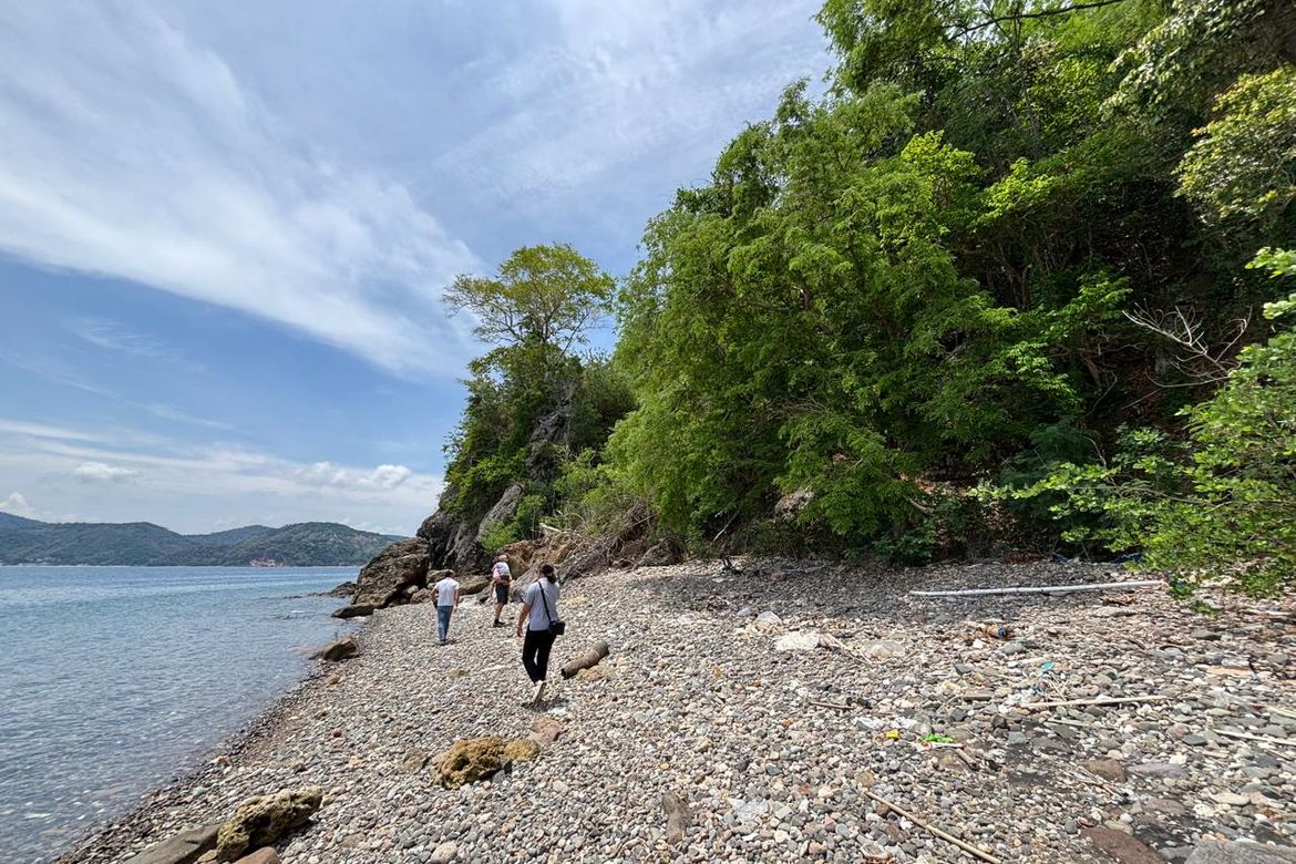 Land for Sale in Pulong Niogan, Mabini, Batangas